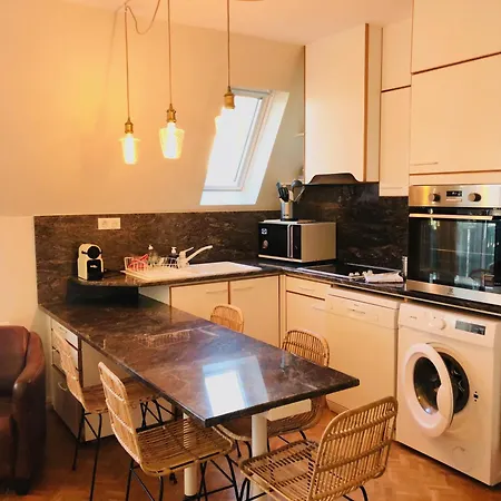 Le Carol Park Duplex Avec Rooftop Apartman *
